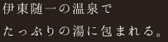 伊東随一の温泉でたっぷりの湯に包まれる。