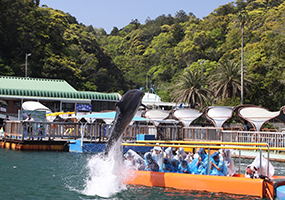 下田海中水族館